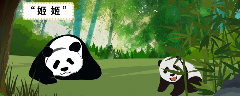 大熊猫为什么被视为国宝