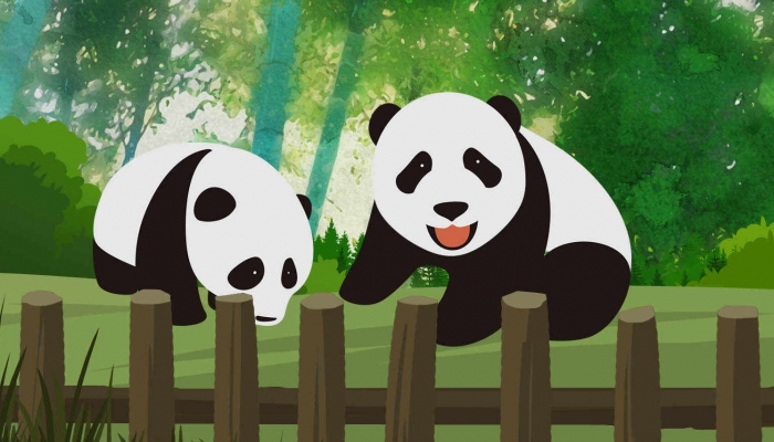 参观大熊猫的最佳时间是几点