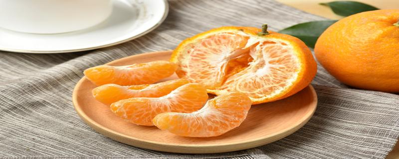 橘子和桔子区别在哪 橘子和橙子的区别