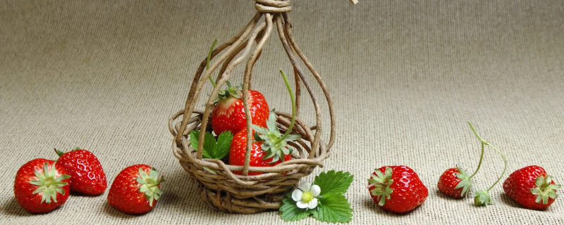 草莓能放冰箱保存吗 草莓可以放冰箱保存吗?