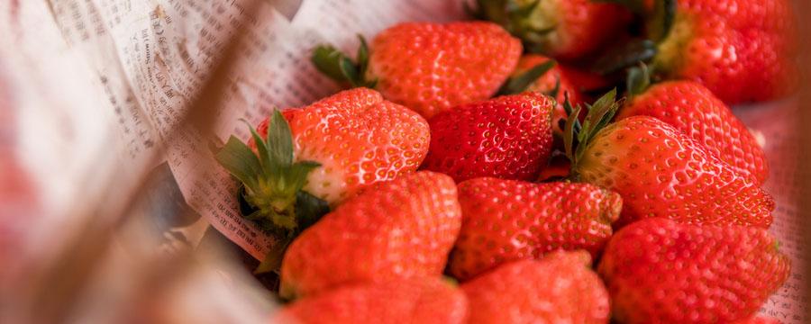 冬天吃草莓太凉怎么办 冬天吃草莓太凉怎么办呢