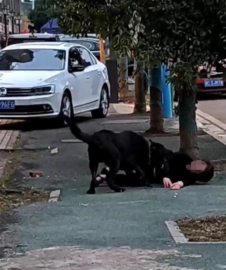 湖南湘潭一女子被狗持续撕咬多处受伤，涉事犬被警方控制，知情人：它还咬死过小狗