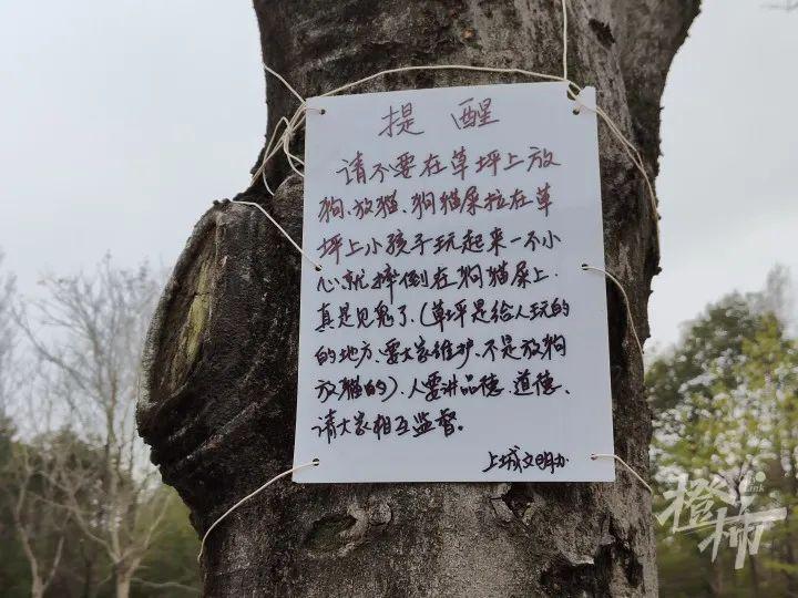 “小孩子摔倒在狗猫屎上，真是见鬼了……”杭州一草坪上这块“文明办”手写提醒牌，是谁挂的？