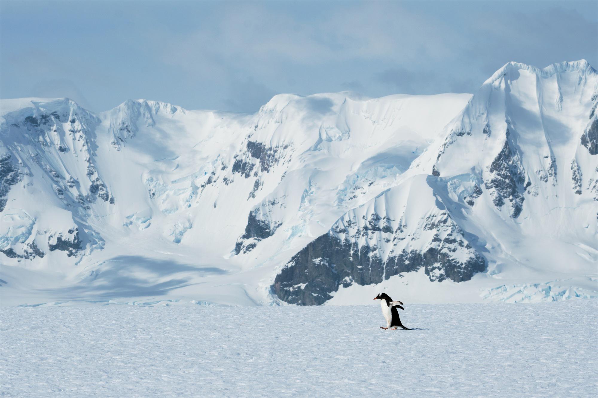 去南极的年轻人，花10万“重启人生”（去南极生活）