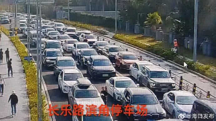 新能源车主自驾海南抢不到票回重庆：只好把老爸的油车“抢”了