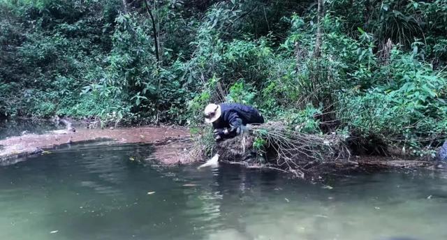 云南哀牢山突然走红，景区紧急提示：严禁深入未开发区域！